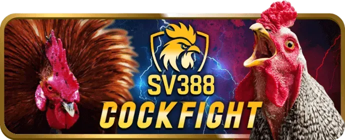 Hướng dẫn chơi Bắn Cá hiệu quả tại w88vin